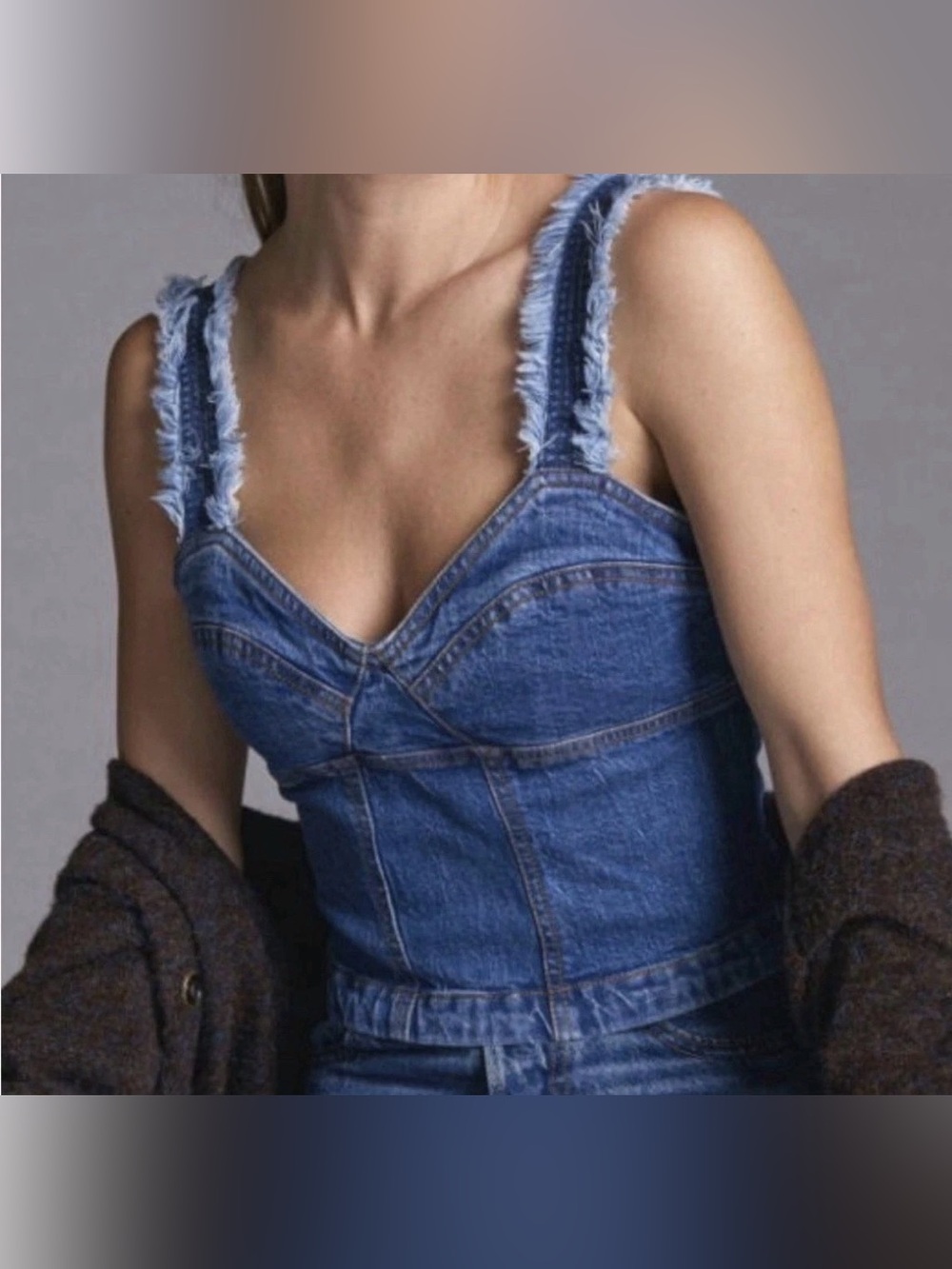 Anthropologie 22W Pilcro Denim Seamed Cropped Plus Corset Top 3X EUC
